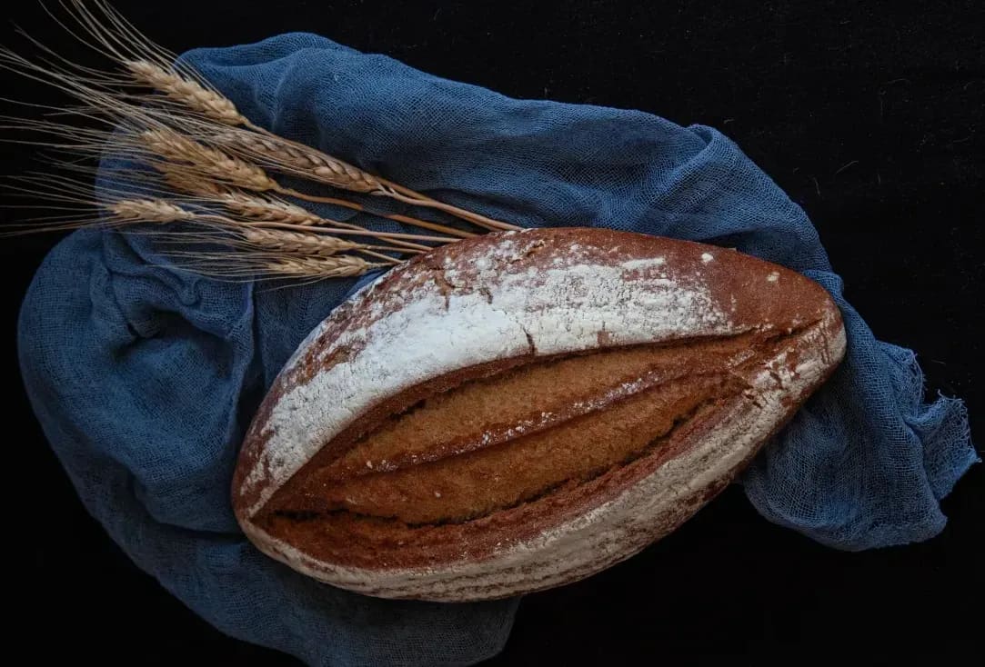 Boulangerie Utopie 11