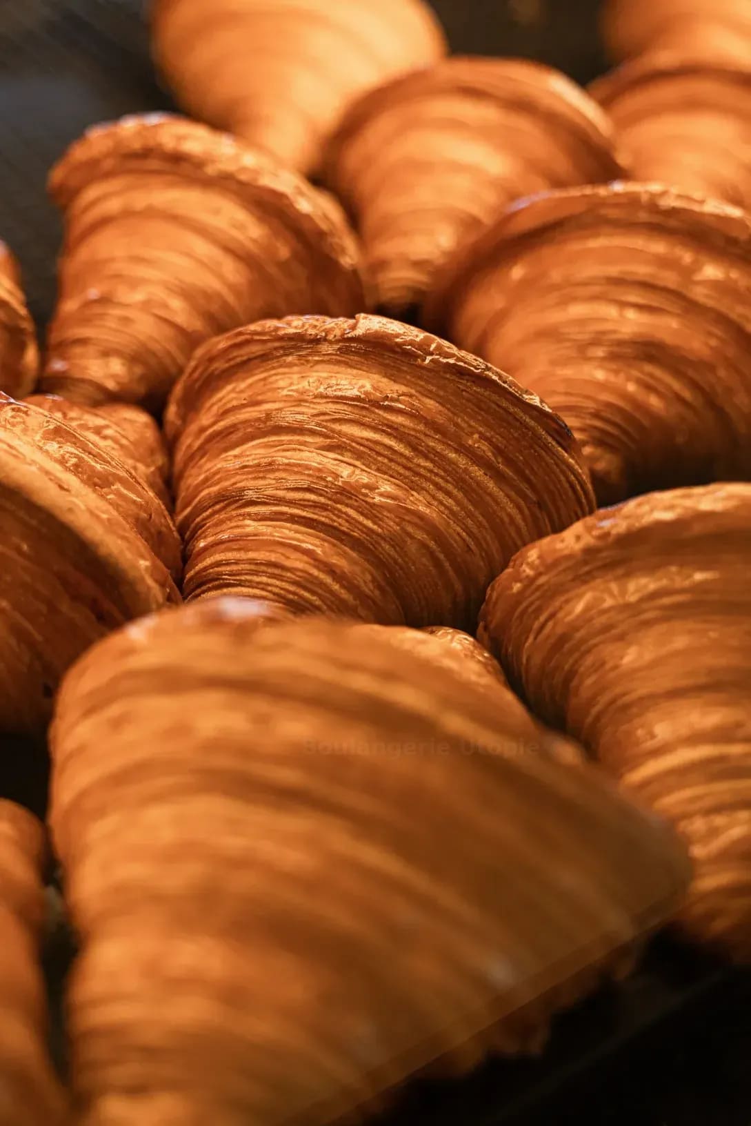 Boulangerie Utopie 13
