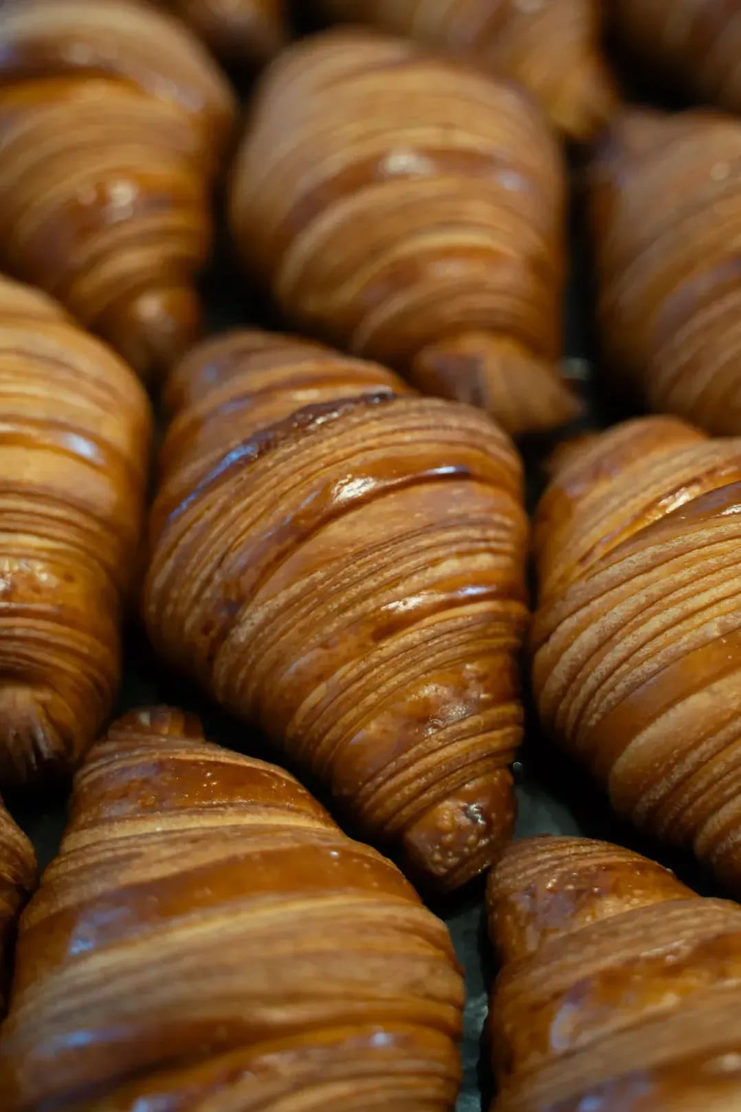 Boulangerie Utopie 4
